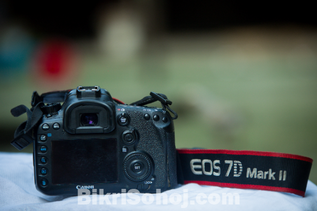 Canon 7D mark 2  18-55 stm lens